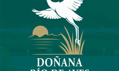 Donana rio de Aves feria