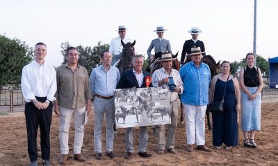 Feria Donana Ecuestre Villamanrique