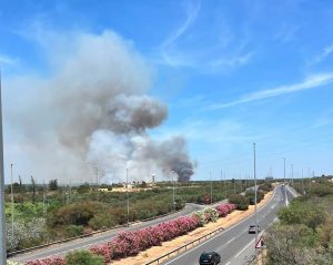Incendio forestal 1