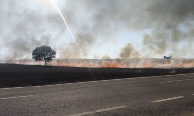 Incendio forestal