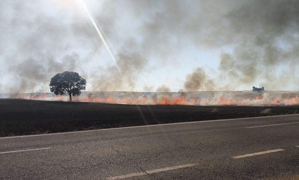 Incendio forestal