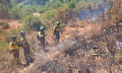 Incendio forestal Infoca