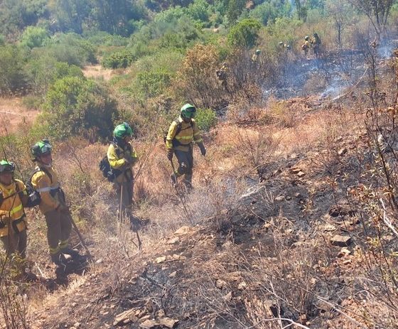 Incendio forestal Infoca