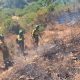 Incendio forestal Infoca