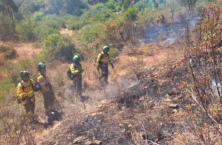 Incendio forestal Infoca