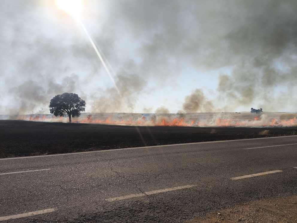 Incendio forestal