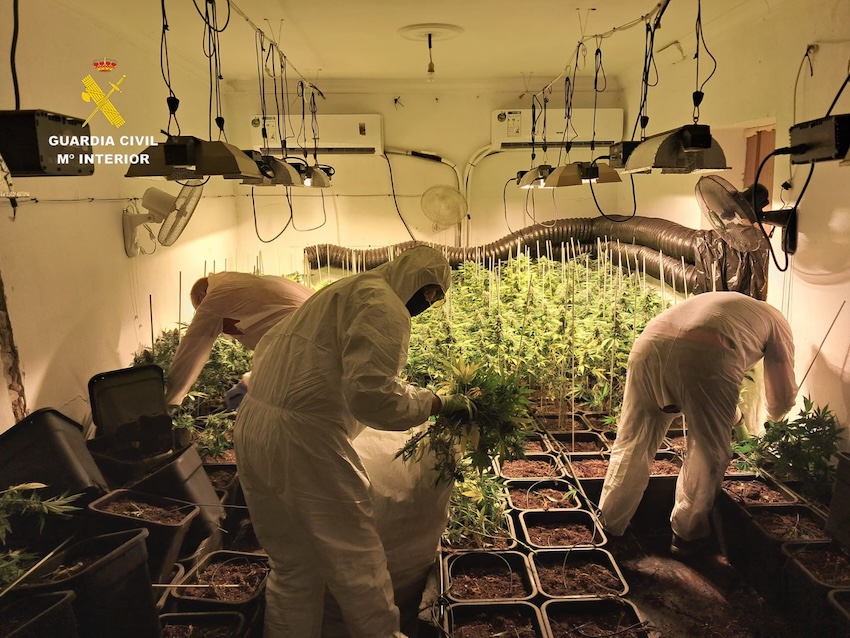Marihuana guardia civil