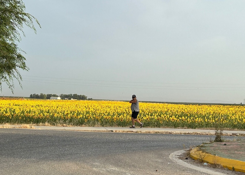 Paseo girasoles