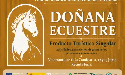 Prodetur Donana Ecuestre