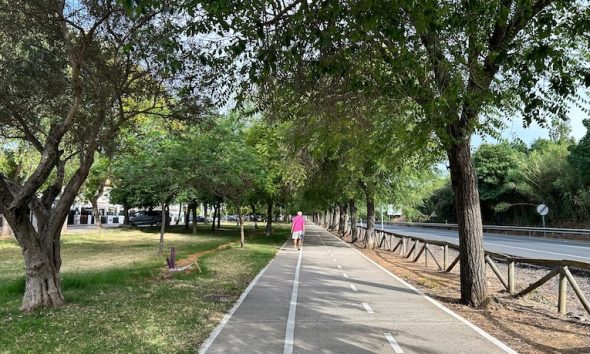 Sendero peatonal