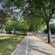 Sendero peatonal