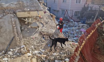UME rescate terremoto