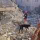 UME rescate terremoto