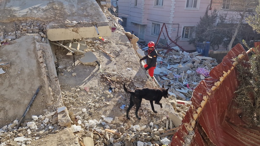 UME rescate terremoto