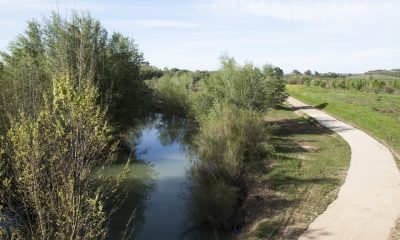 Corredor verde Guadiamar