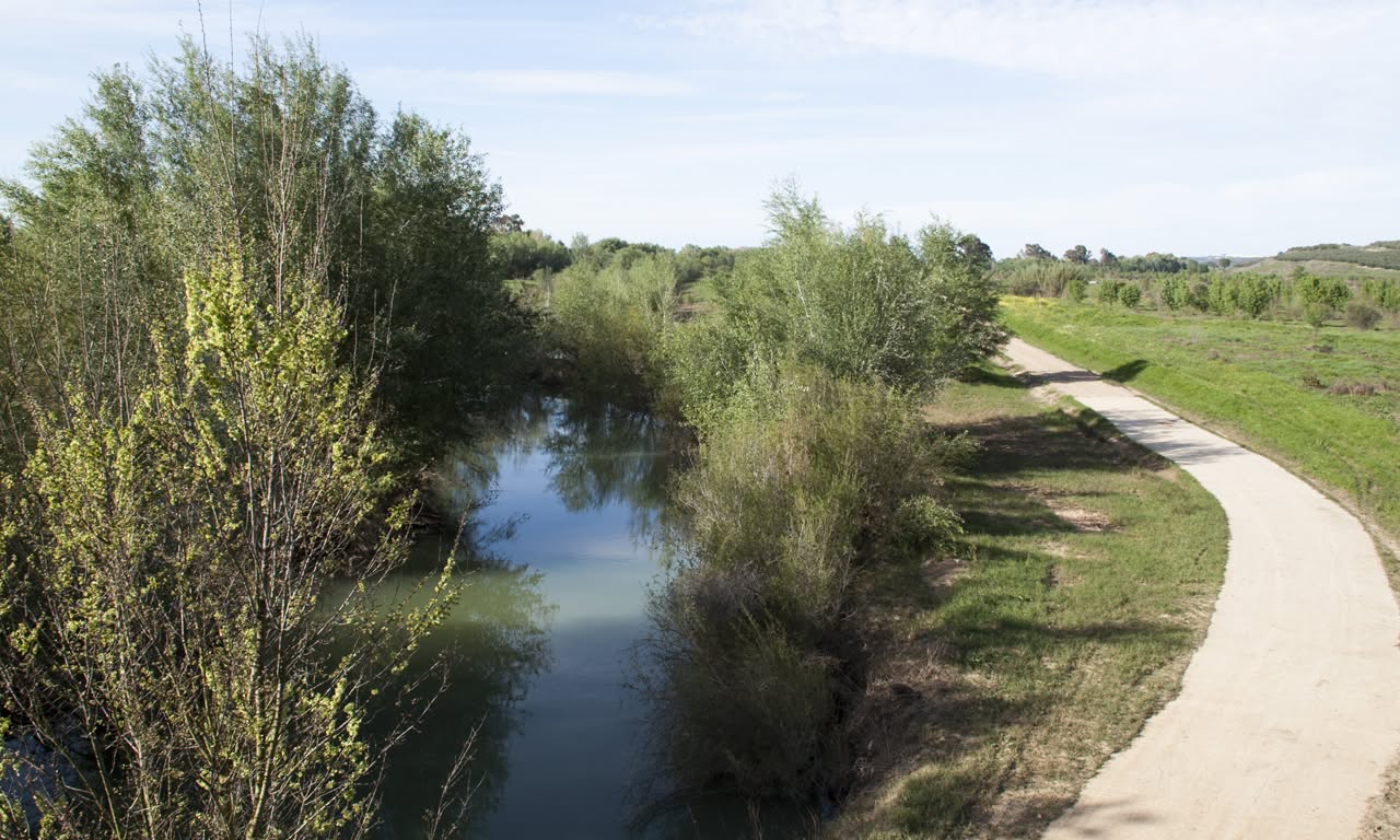 Corredor verde Guadiamar