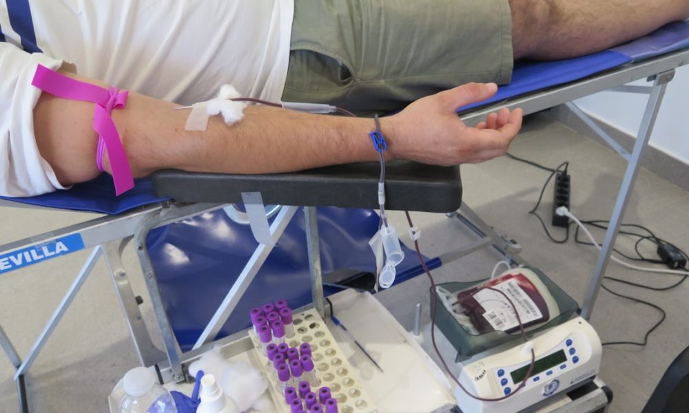 Donacion de Sangre 11