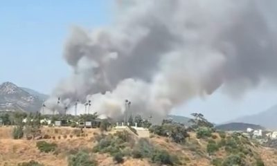 Incendio forestal