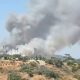 Incendio forestal