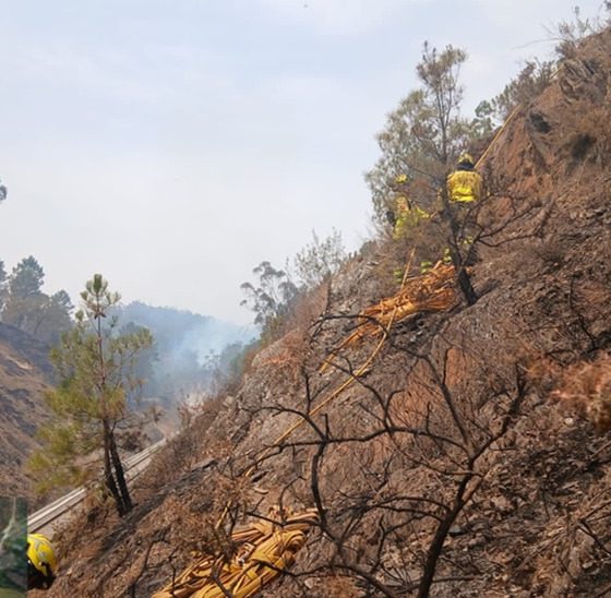 Incendio forestal Almonaster Infoca