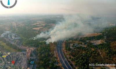 Incendio forestal Lepe avion