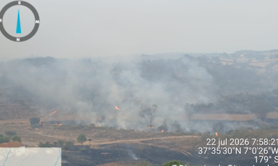 Incendio forestal el cerro