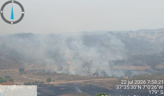 Incendio forestal el cerro
