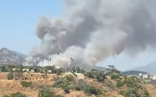 Incendio forestal