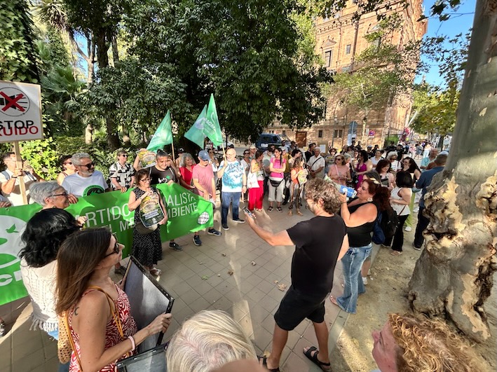 Pacma Concentracion Iconica