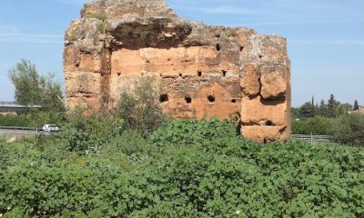 Torre Mochuela Dos Hermanas