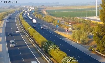 Trafico Autopista