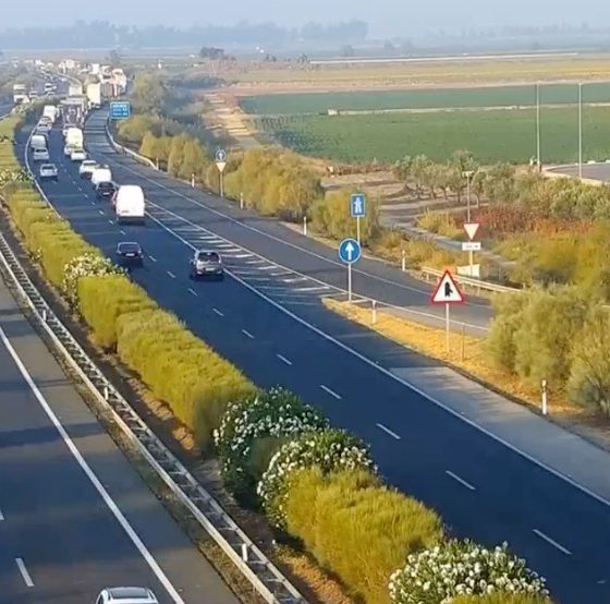 Trafico Autopista