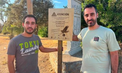 aves esteparias Gerena