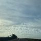 ciclista carretera olivares
