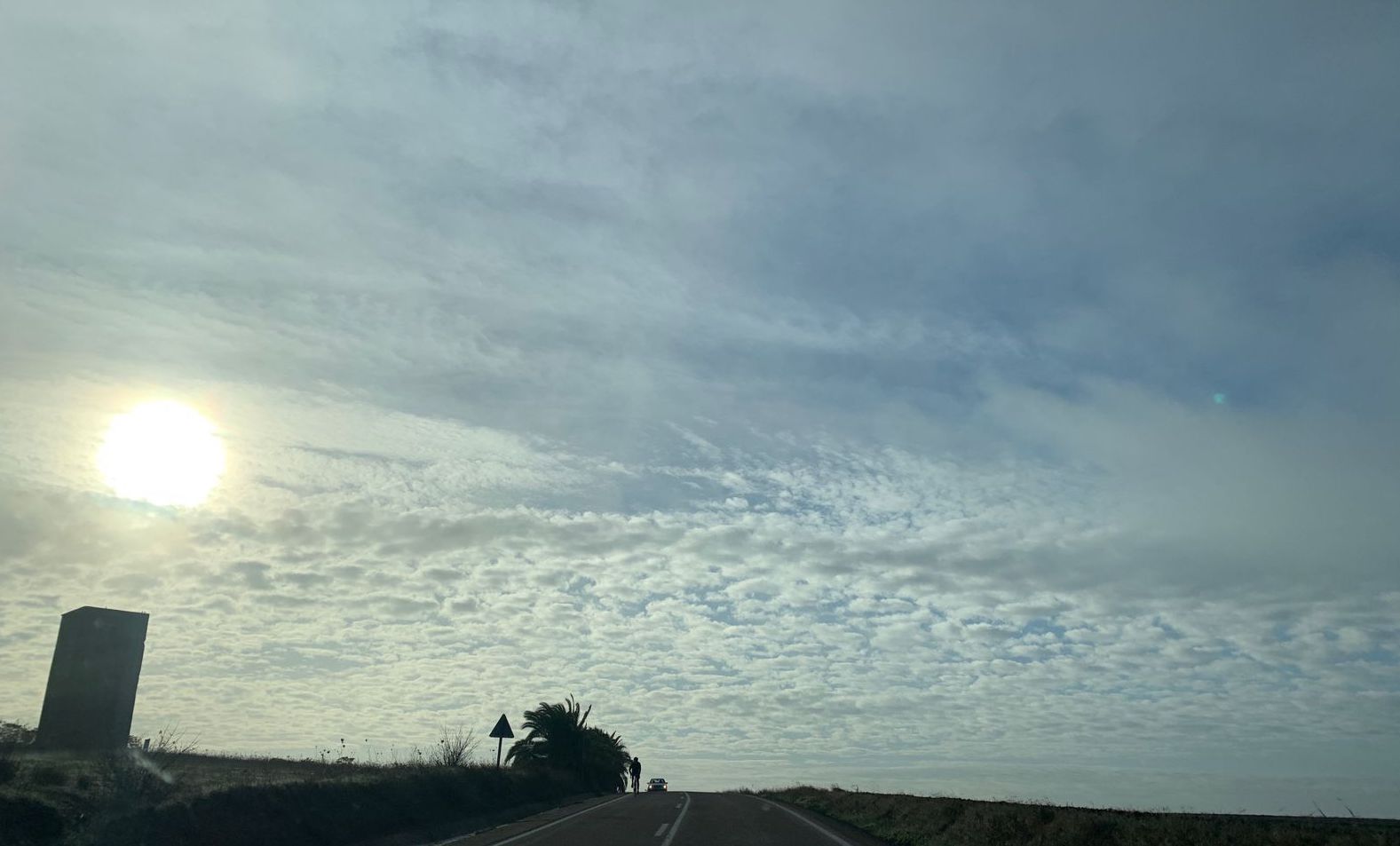 ciclista carretera olivares