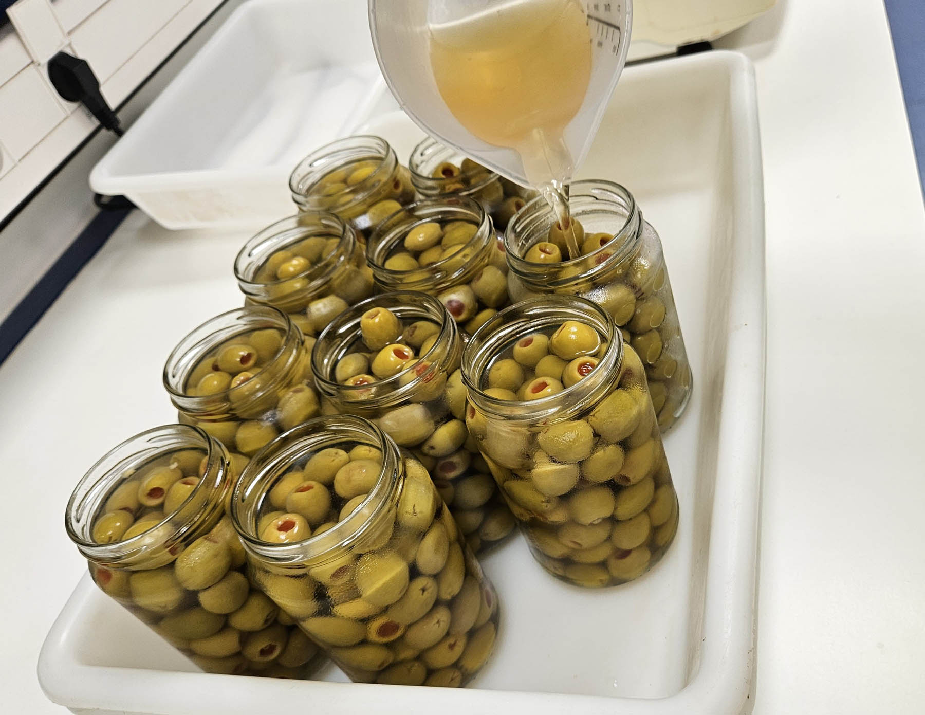 Aceitunas rellenas
