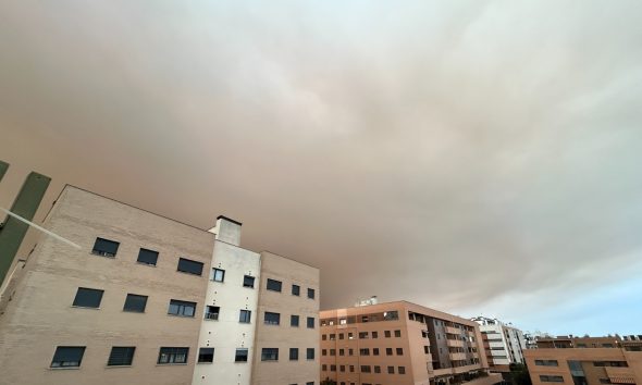 Humo incendio Niebla