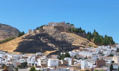 Incendio Estepa cerro de san cristobal