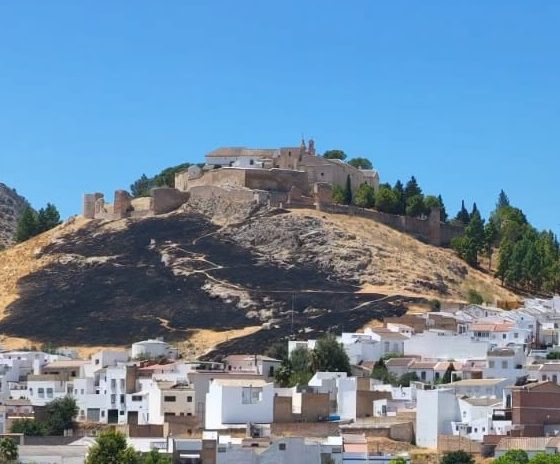 Incendio Estepa cerro de san cristobal