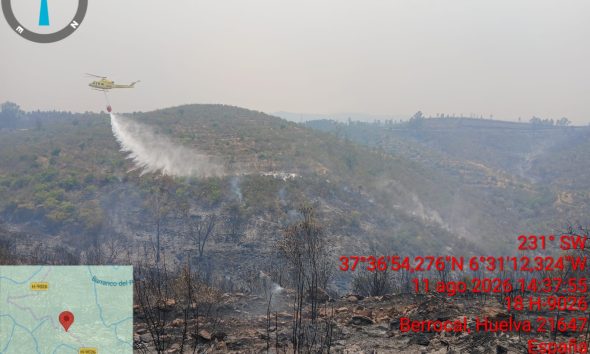 Incendio forestal 1