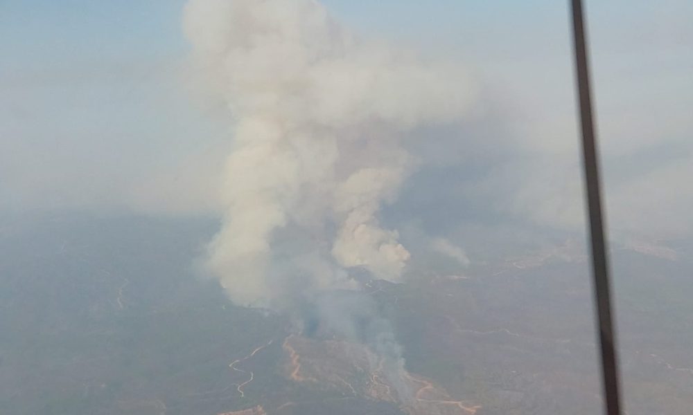 Incendio forestal