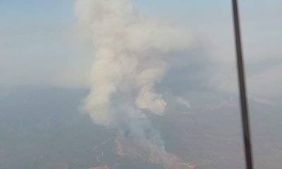Incendio forestal