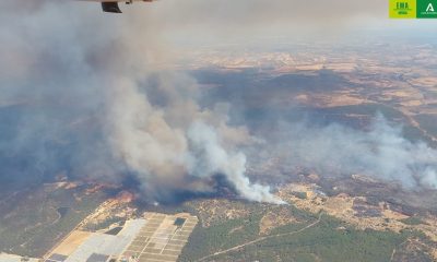 Incendio forestal Niebla