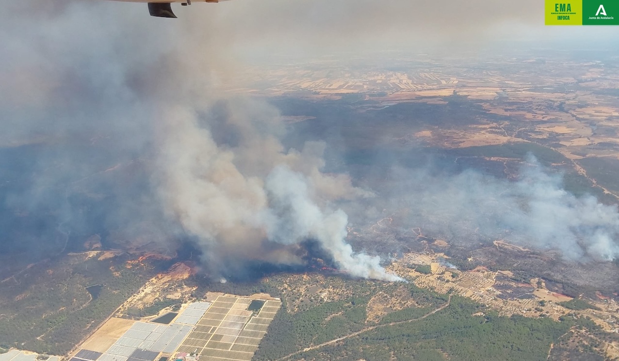 Incendio forestal Niebla