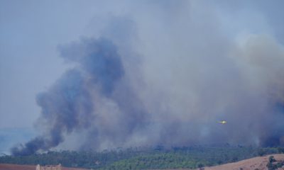 Incendio forestal humo