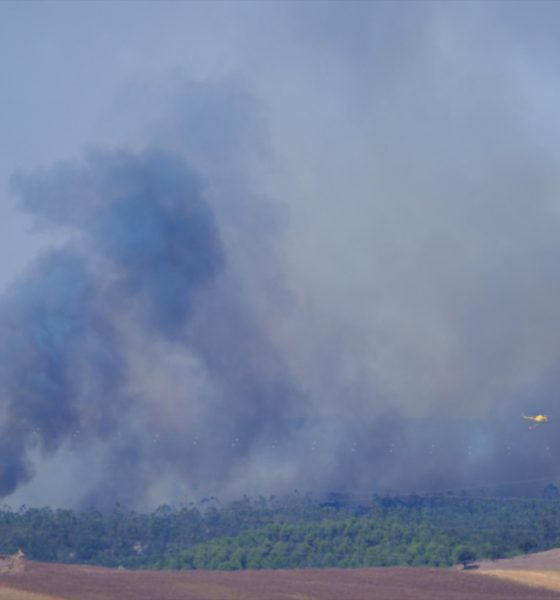 Incendio forestal humo