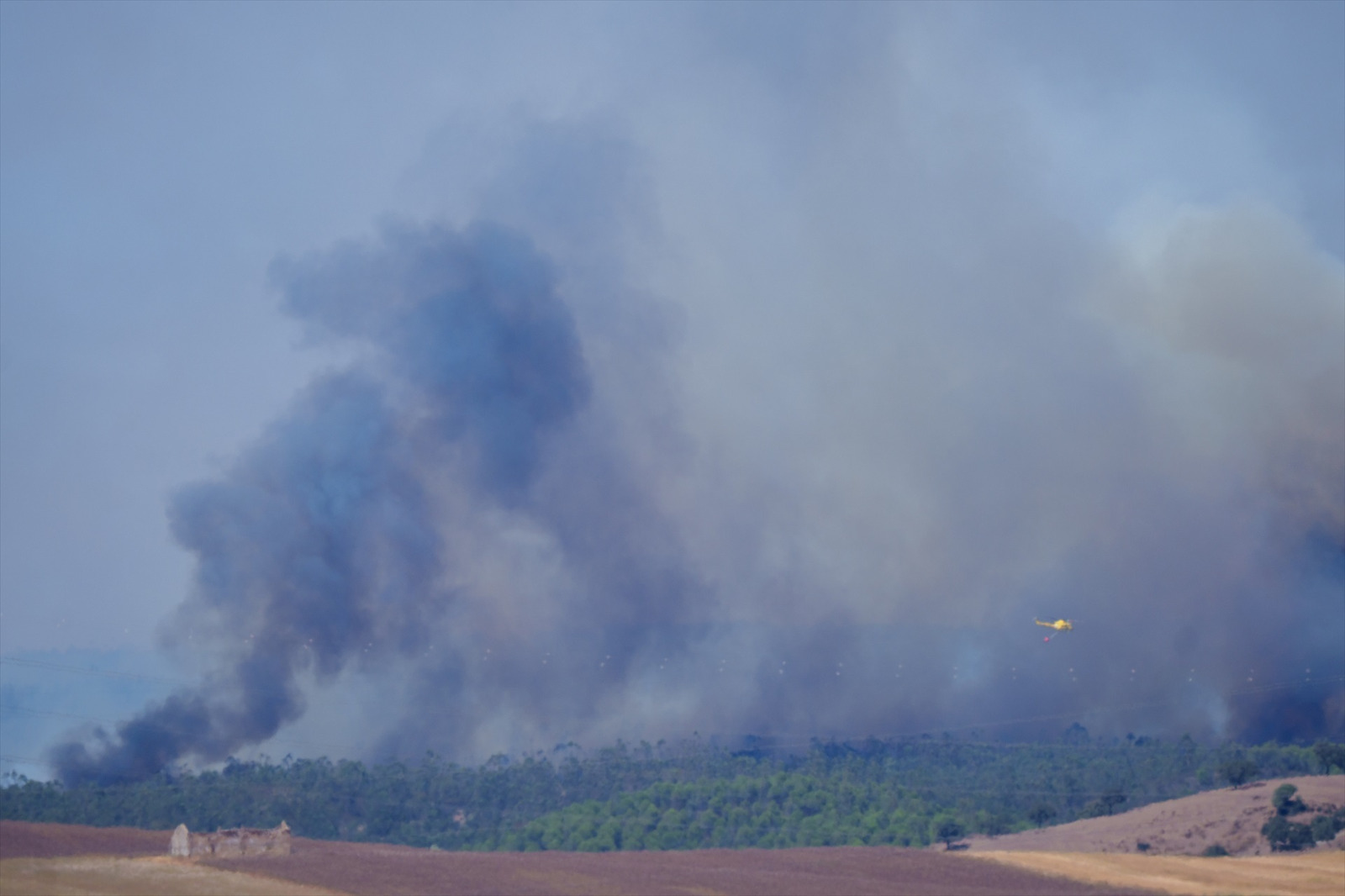 Incendio forestal humo
