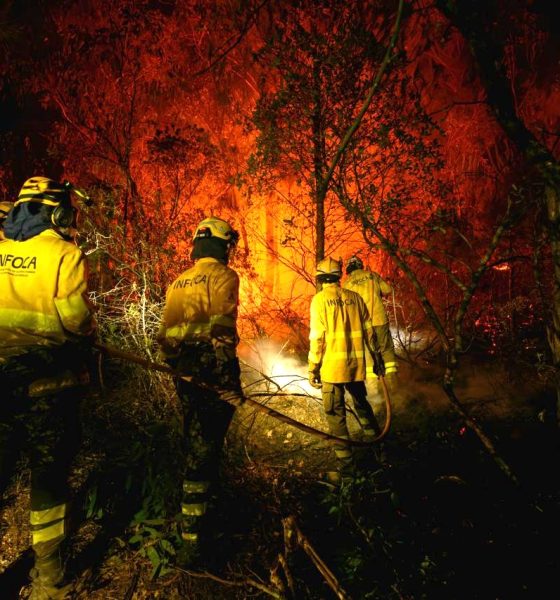 Incendio forestal infoca 1