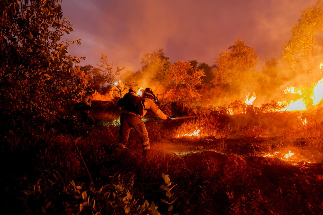 Incendio forestal noche