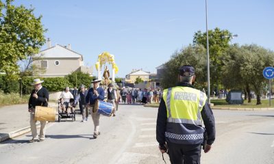 Mairena romeria